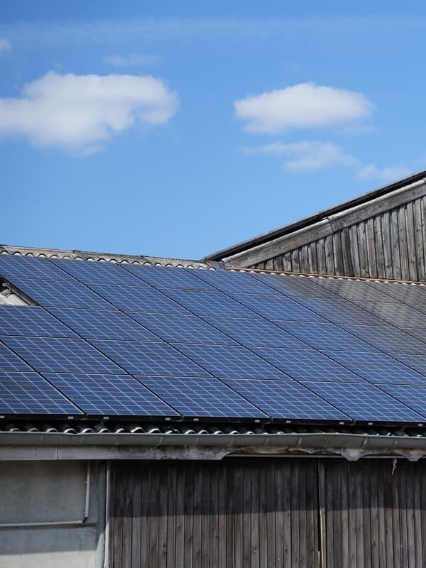 Saubere Solarmodule nach der Skyvex-Reinigung